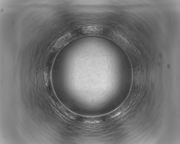X0000059250749200510171457