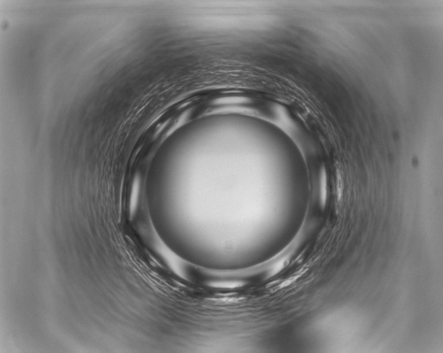 X0000059250750200510171457