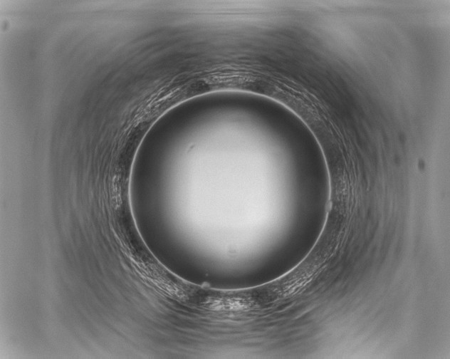 X0000059250751200510171457