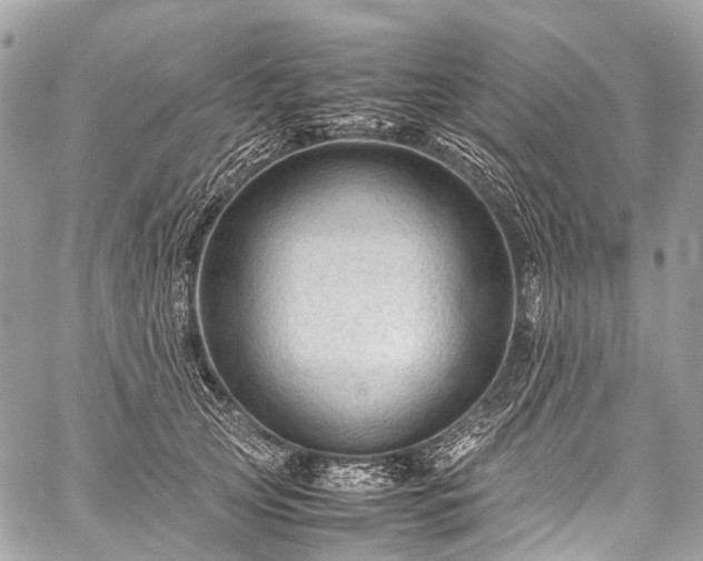 X0000059250753200510171457