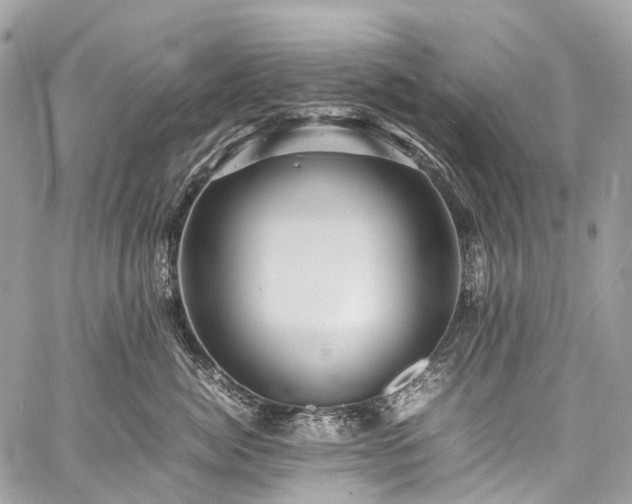 X0000059250764200510171457