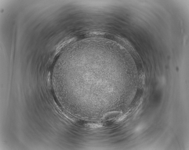 X0000059250765200510171457