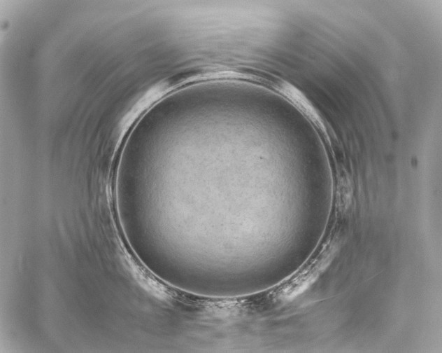 X0000059250813200510171456