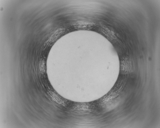 X0000059250820200510171455