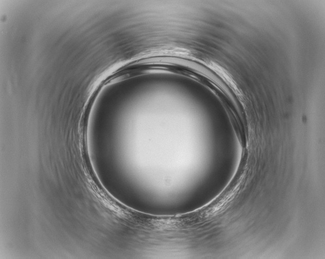 X0000059250854200510171456