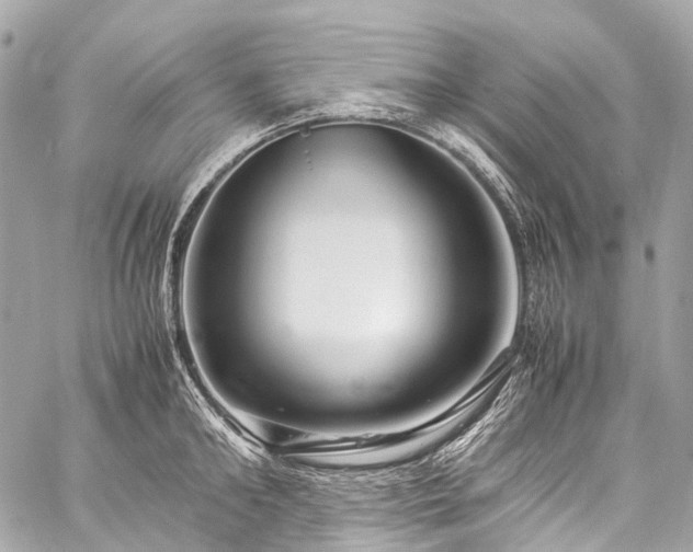 X0000059250902200510171454