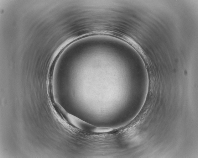 X0000059250955200510171454