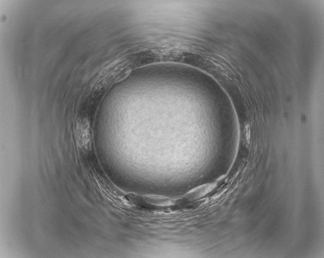 X0000059250963200510171453