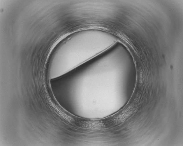 X0000059251024200510171452