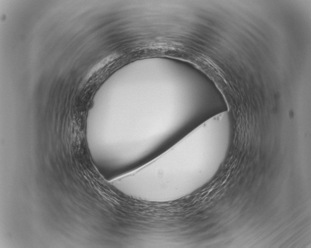 X0000059251064200510171452