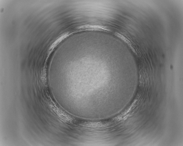 X0000059251074200510171451