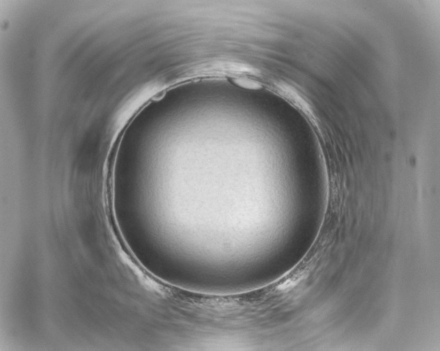X0000059251103200510171451