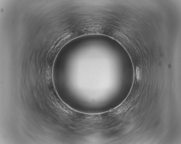 X0000059251107200510171450