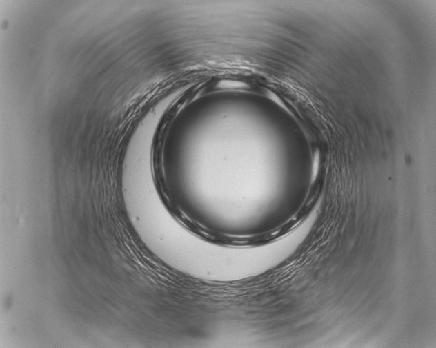 X0000059251110200510171450