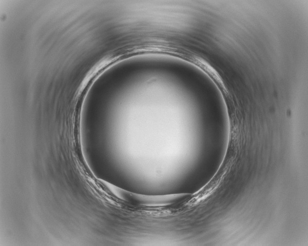 X0000059251146200510171451