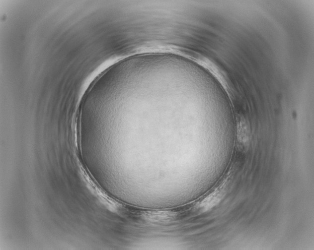 X0000059251150200510171451