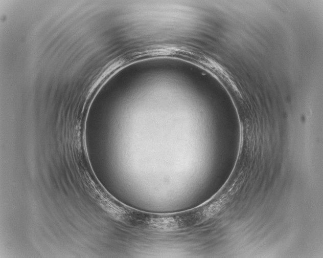 X0000059251186200510171449