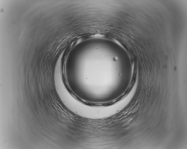 X0000059251202200510171448