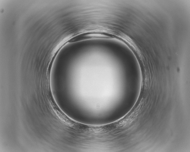 X0000059251242200510171449
