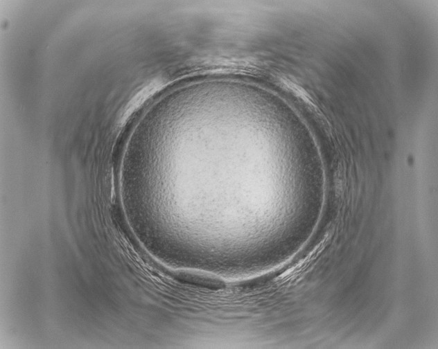 X0000059251267200510171448