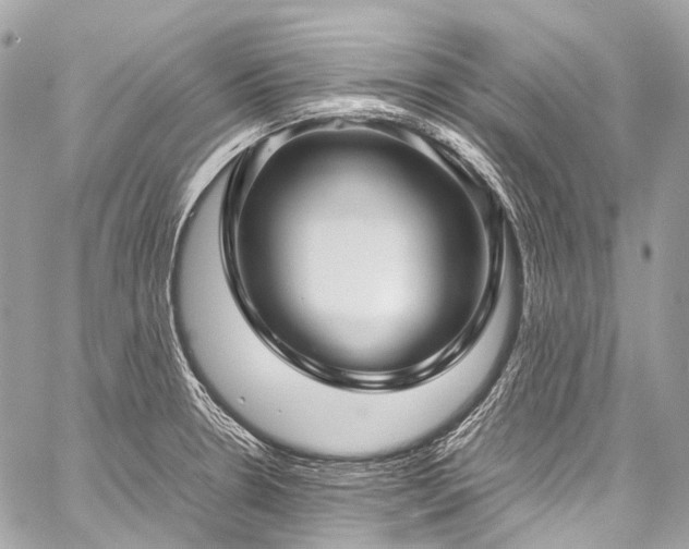 X0000059251330200510171447