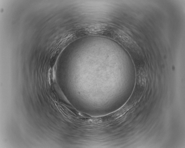X0000059251346200510171447