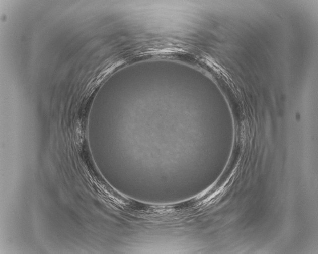 X0000059251353200510171447