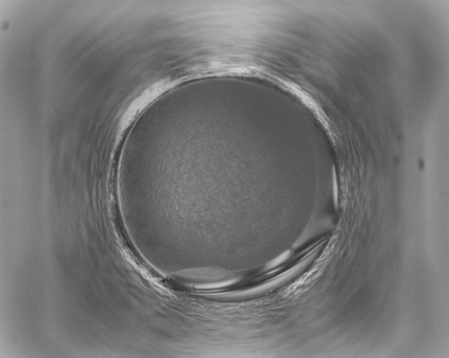 X0000059251373200510171446