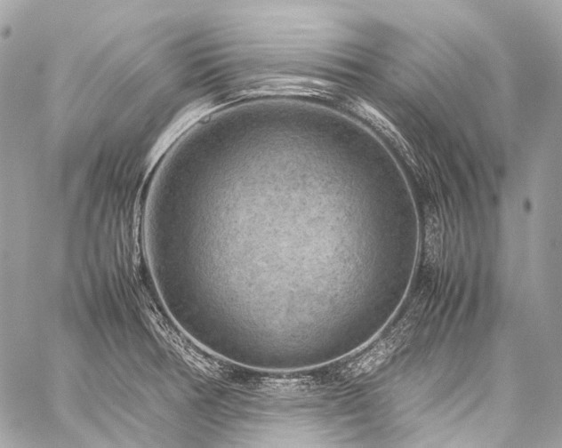 X0000059251378200510171446