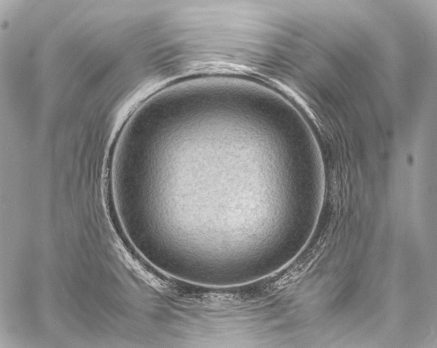 X0000059251379200510171446