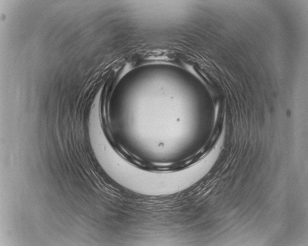 X0000059251394200510171445
