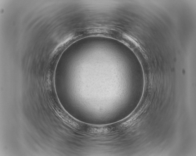 X0000059251403200510171445