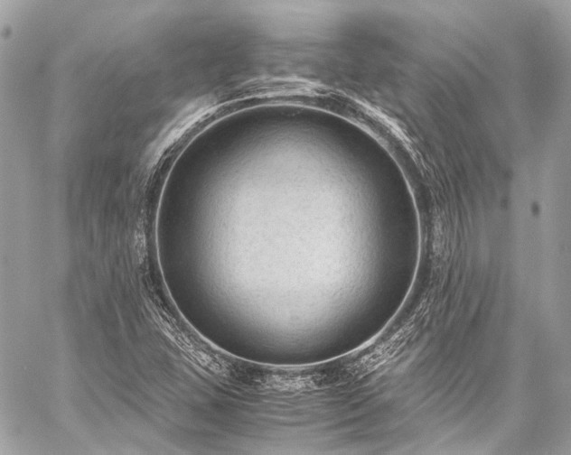 X0000059251407200510171445