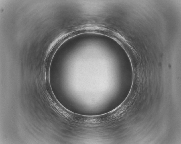 X0000059251408200510171445