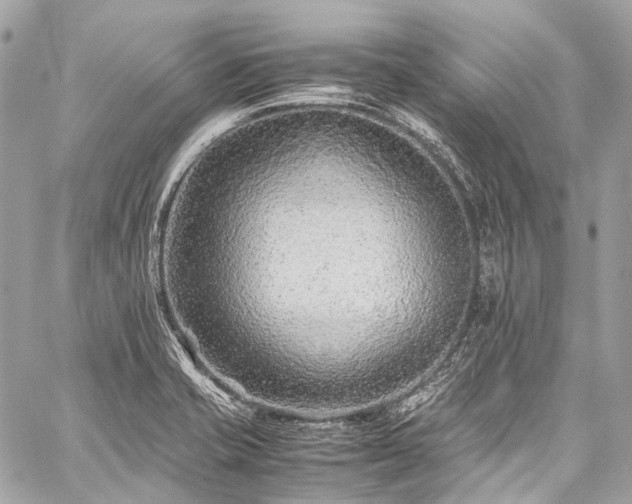 X0000059251421200510171446