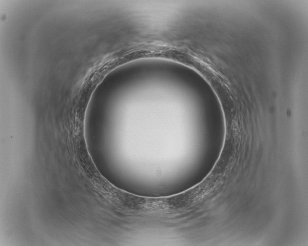X0000059251447200510171445