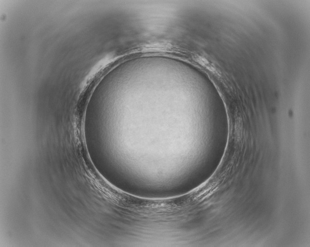 X0000059251454200510171445