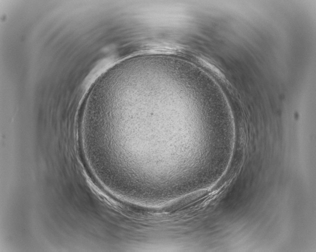 X0000059251471200510171445