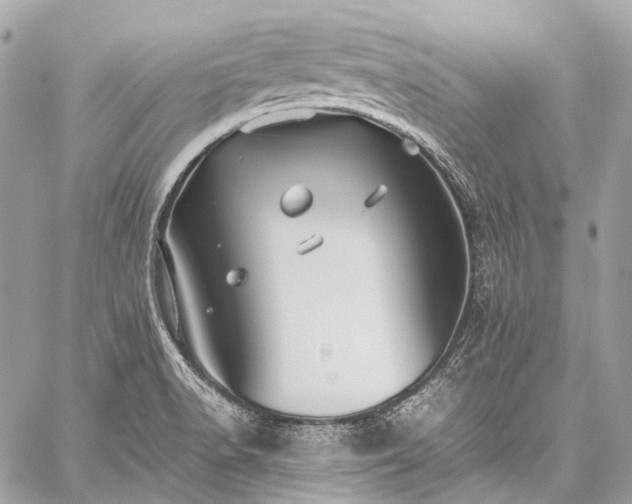 X0000059251518200510171444