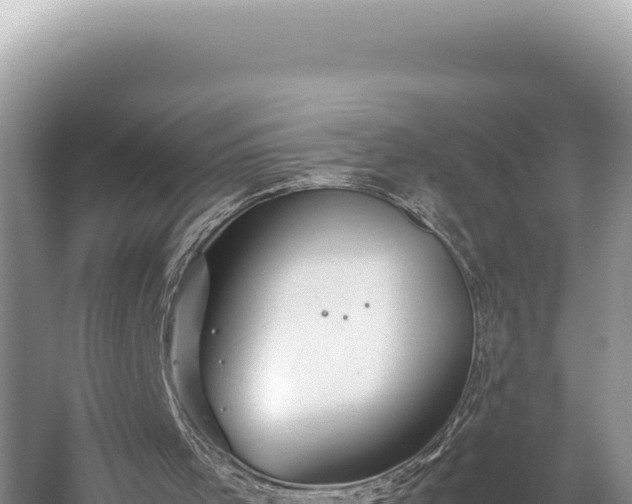 X0000059250001200510211641