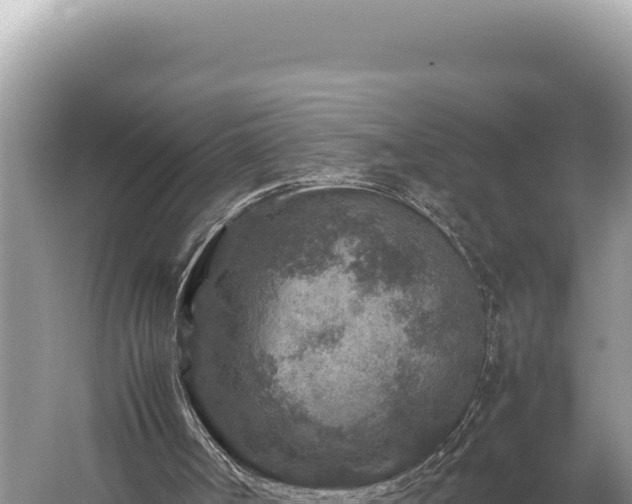 X0000059250002200510211641