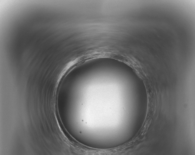 X0000059250003200510211641