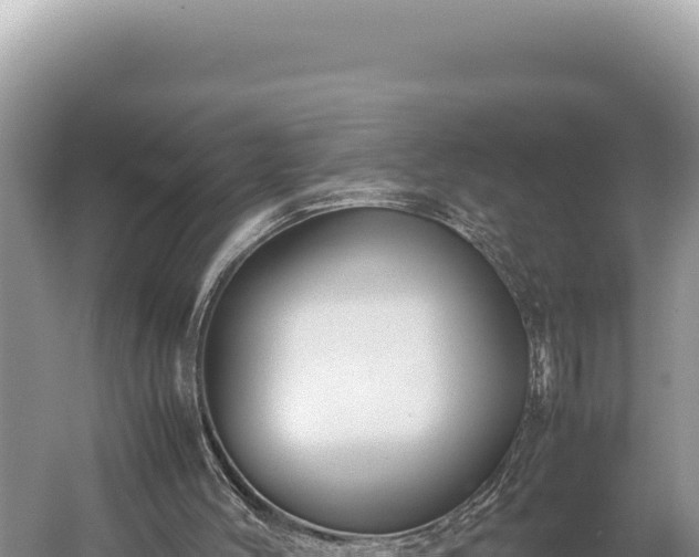 X0000059250004200510211641