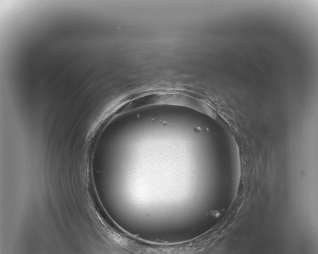 X0000059250005200510211641