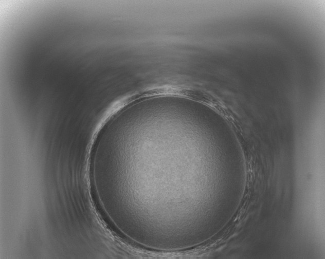 X0000059250006200510211641