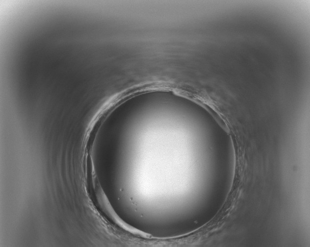 X0000059250007200510211641