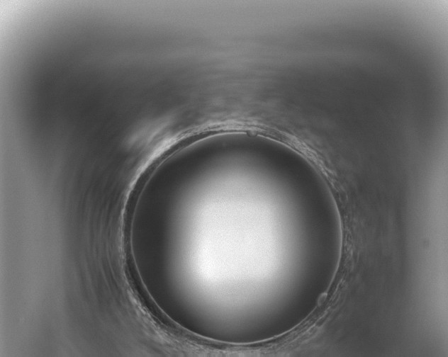 X0000059250008200510211641