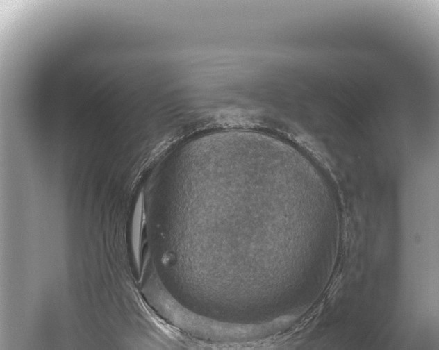 X0000059250009200510211641