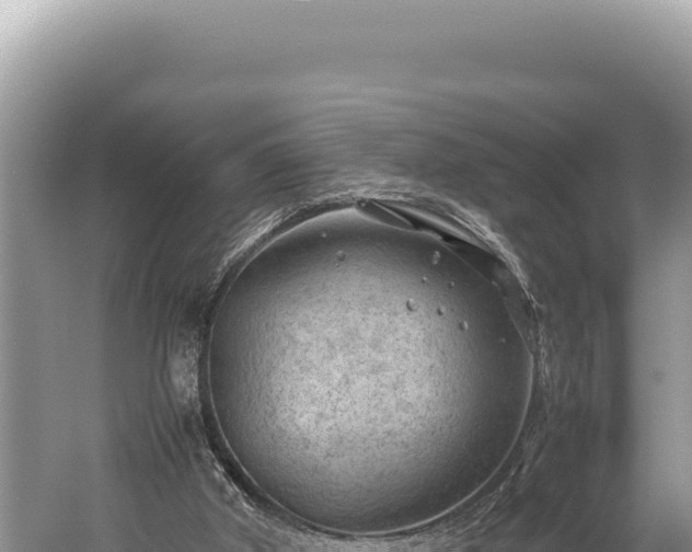 X0000059250010200510211641