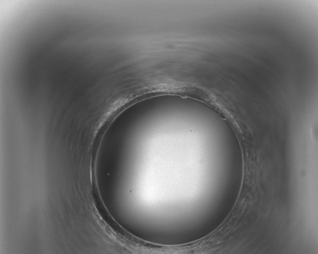 X0000059250011200510211641